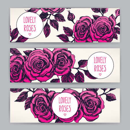 three beautiful romantic card with roses. hand-drawn illustrationのイラスト素材