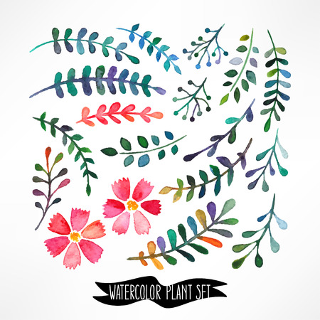 Watercolor vector set with leaves and flowers. hand-drawn illustrationのイラスト素材