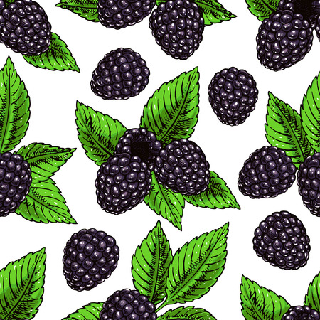 Cute seamless background with ripe bramble and leaves. hand-drawn illustrationのイラスト素材