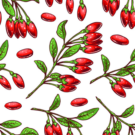 Cute seamless background with ripe goji berries and leaves. hand-drawn illustrationのイラスト素材
