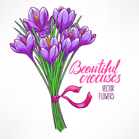beautiful greeting card with bouquet of purple crocuses. hand-drawn illustrationのイラスト素材