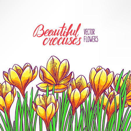 beautiful greeting card with yellow crocuses. hand-drawn illustrationのイラスト素材