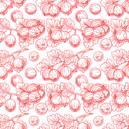 Beautiful seamless background with sprigs of red sketch gooseberryのイラスト素材