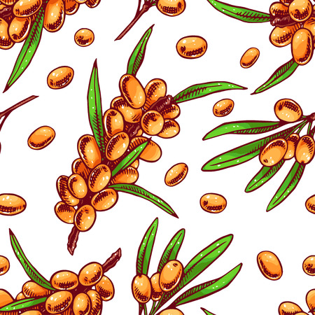 Beautiful orange seamless background with sprigs of sea buckthornのイラスト素材