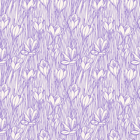 beautiful seamless background with sketch crocuses. hand-drawn illustrationのイラスト素材