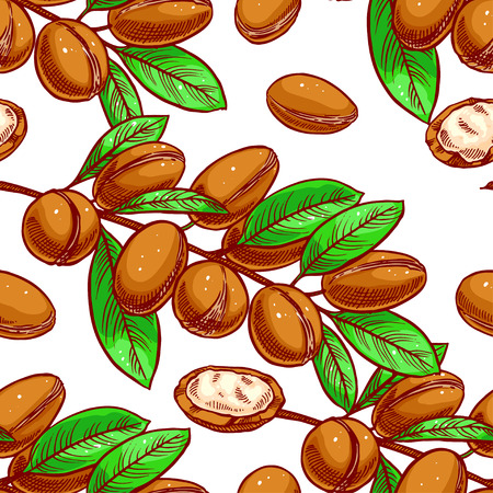 seamless background of Argan tree branches with fruits. hand-drawn illustrationのイラスト素材