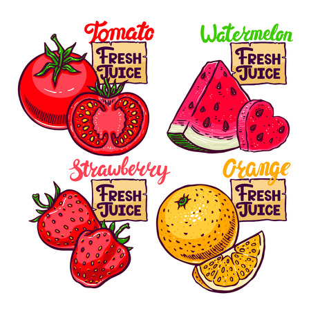 Fresh Juice. beautiful set of fresh fruits and berries. hand-drawn illustrationのイラスト素材