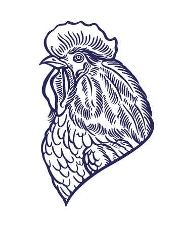 beautiful hand-drawn rooster. a symbol of 2017のイラスト素材