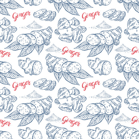 beautiful seamless background of sketch ginger. hand-drawn illustrationのイラスト素材