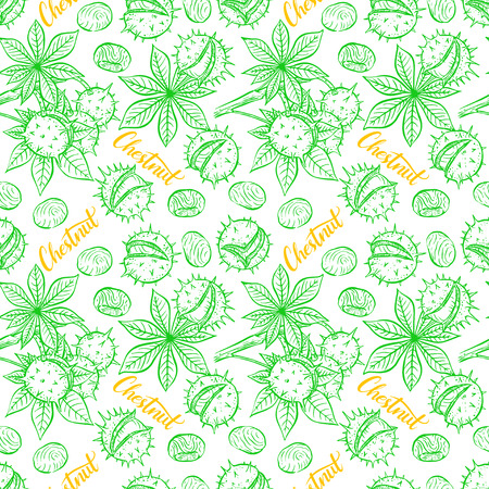 beautiful seamless pattern of sketch chestnuts. hand-drawn illustrationのイラスト素材
