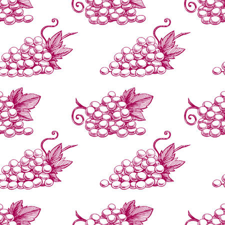 Beautiful seamless background of purple ripe grapes. hand-drawn illustrationのイラスト素材