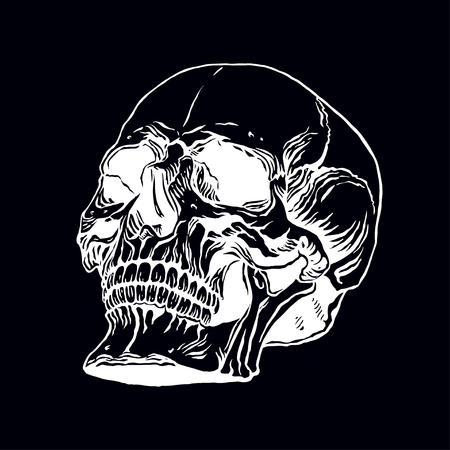 hand drawn illustration of anatomy human skull with a lower jaw isolated on a black backgroundのイラスト素材