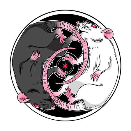 Two cute black and white dark magic rats illustrationのイラスト素材