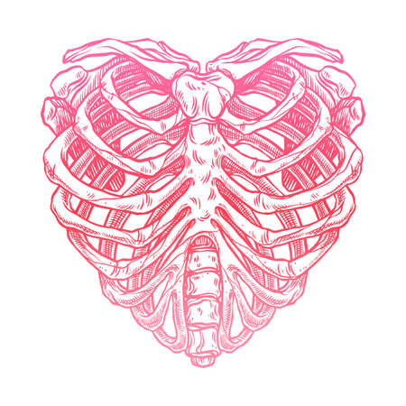 Skeleton heart shape ribcage illustrationのイラスト素材