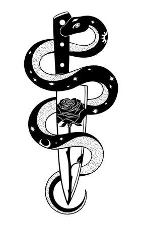 Snake Knife Rose graphic illustrationのイラスト素材