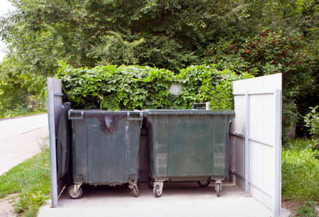 Two large dumpsters are twined with large hop branches. Horizontal photoの写真素材