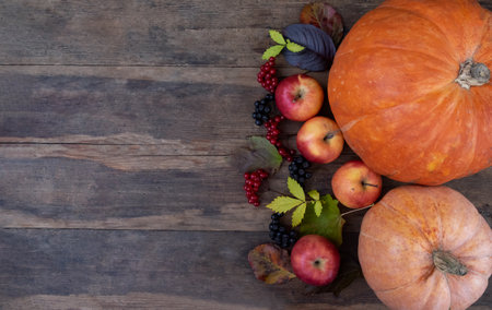 Autumn still life. Pumpkins, apples, viburnum, chokeberry, tree leaves on a wooden background. Harvest, abundance. Copyspace, revenge for textの写真素材
