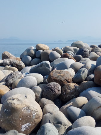 Askold Island Stone Beachの写真素材