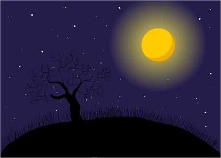 at night time in natureのイラスト素材