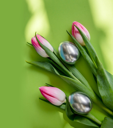 Tulips with silver eggs on green background, Easterの写真素材