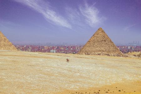 Skyline with Cairo and the pyramidの写真素材