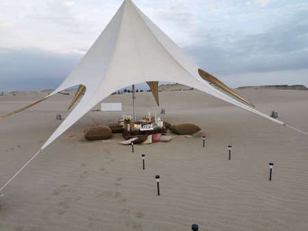 Sand and palms in Peruの写真素材