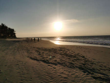 Sand and palms in Peruの写真素材