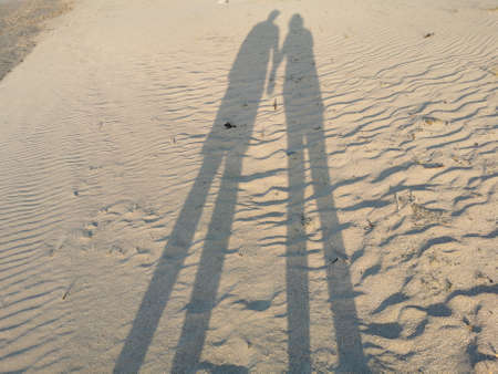 Sand and palms in Peruの写真素材