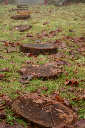 Pathwayの写真素材