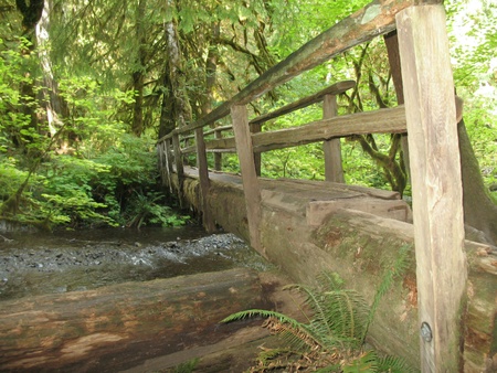 Bridgeの写真素材