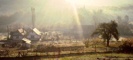  Sunraysの写真素材