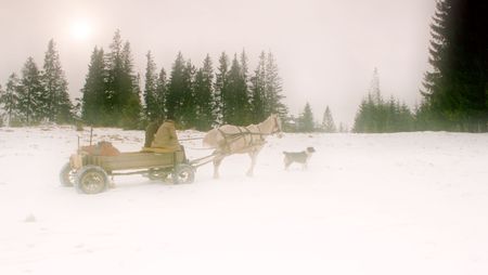 Winter sceneの写真素材