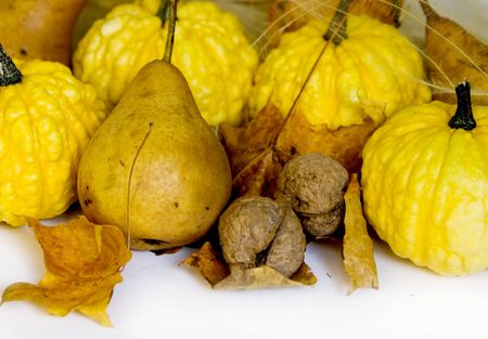 Autumn still lifeの写真素材