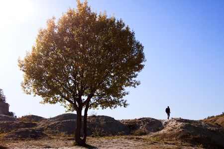 Landscape with tree and walking manの写真素材