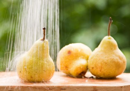 Pear under flowing waterの写真素材
