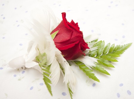 Red rose