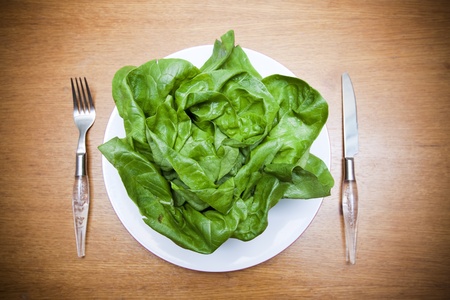 Fresh green lettuce on plateの写真素材