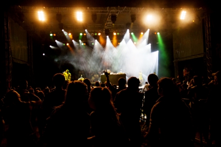 Crowd at concert