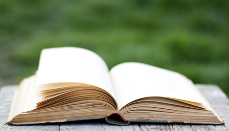 Open book on green background