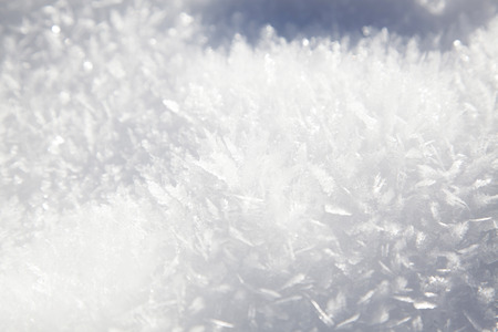 Fresh snowの写真素材