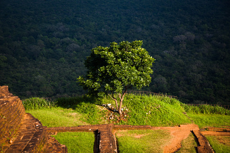 Sigiriya Lion Rock Fortress in Sri Lankaのeditorial素材