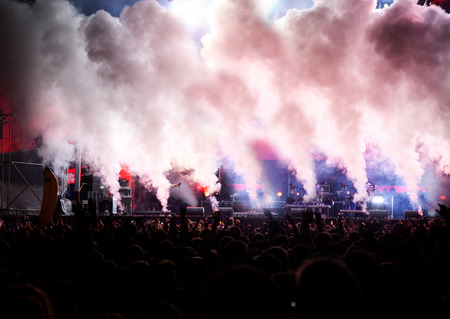 Crowd at concert