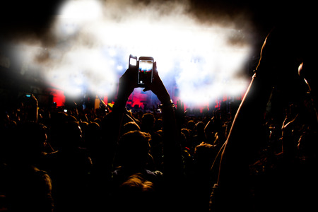 Crowd at concert