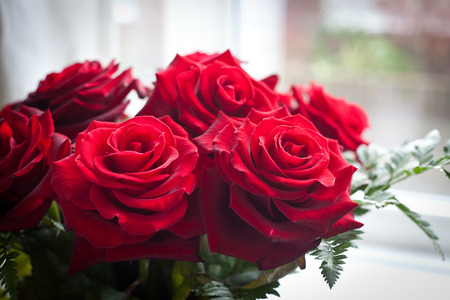 red roses for valentineの写真素材