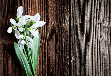 Easter eggs and fresh spring tulips on weathered wooden backgroundの写真素材