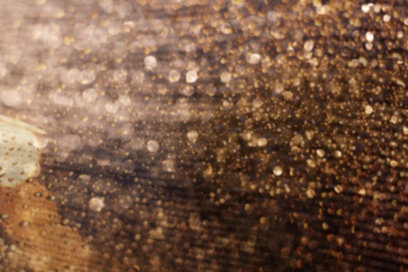 light abstract Christmas background with holiday lights and copy spaceの写真素材