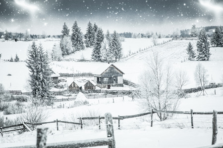 christmas background of snowy winter landscape with snow or hoarfrost covered fir trees and copy space - winter magic holidayの写真素材
