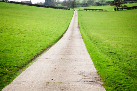 country road in green meadowの写真素材