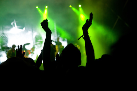 crowd at concert
