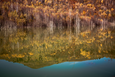 colorful autumn trees reflecting in lakeの写真素材
